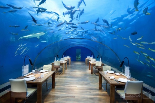 رستوران زیرآبی (( ایتها )) در مالدیو + تصاویر-1